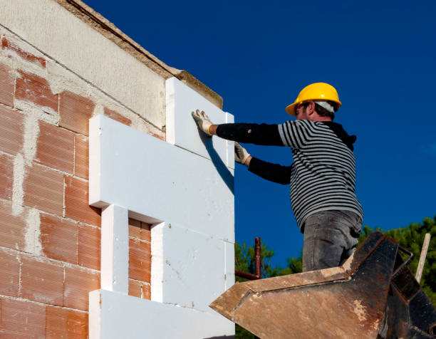 Best Insulation Repair Services  in Princeton, MO