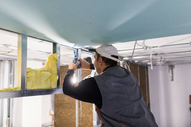 Professional Insulation Contractor in Princeton, MO