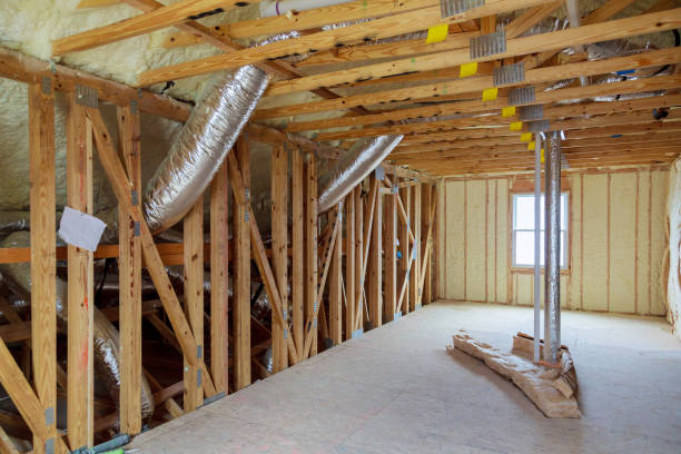 Best Wall Insulation Contractor  in Princeton, MO
