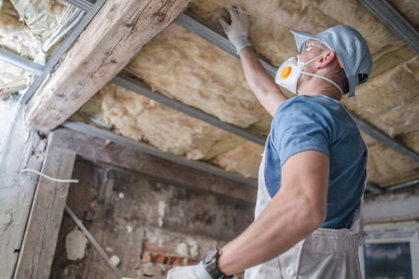 Best Insulation Contractors for Homes  in Princeton, MO