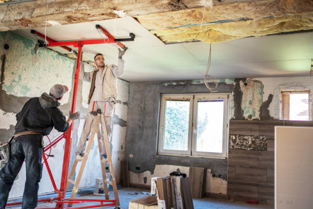 Best Fiberglass Insulation  in Princeton, MO