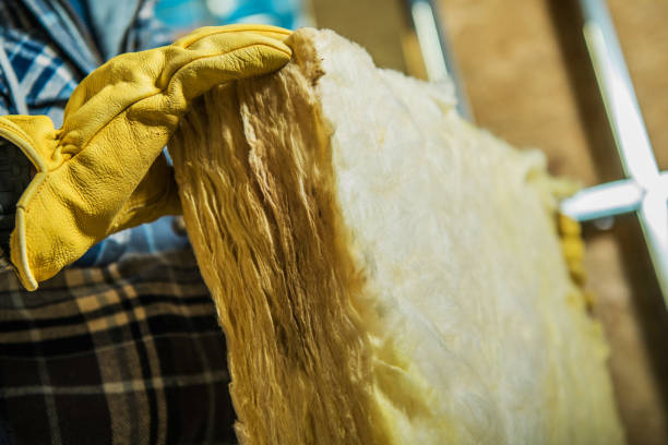 Best Insulation for New Construction  in Princeton, MO
