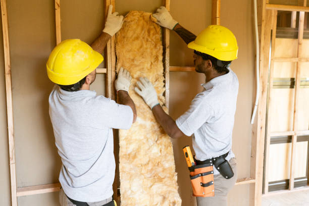 Best Residential Insulation Services  in Princeton, MO