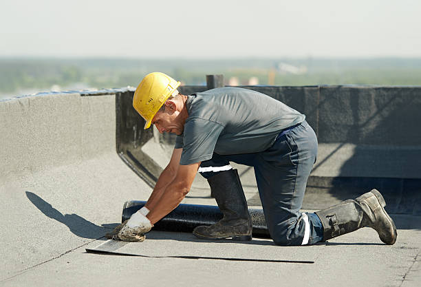 Best Insulation Removal  in Princeton, MO