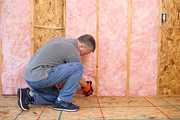 Best Commercial Insulation Contractor  in Princeton, MO