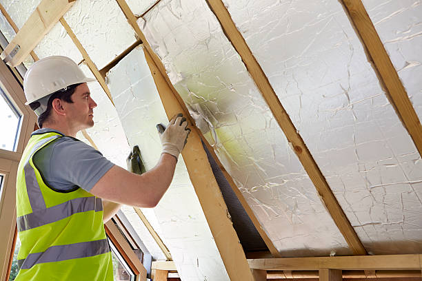 Best Home Insulation Services  in Princeton, MO
