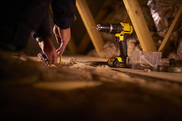 Best Spray Foam Insulation  in Princeton, MO